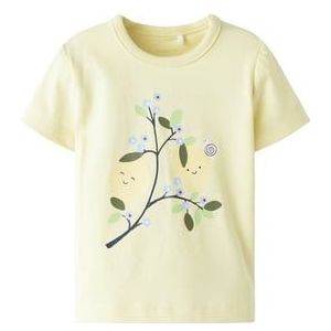 name it T-shirt Nbffaberry Pastel Yellow