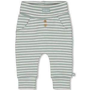 Feetje Broek gestreept Turtelly Cool zeegroen