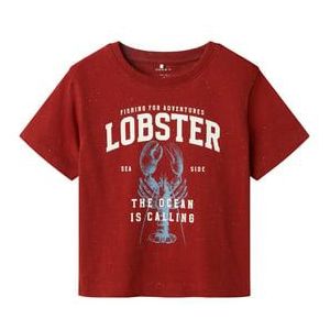 name it T-shirt Nmmfabi Rood Oker