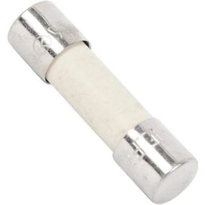 AEG 8A Magnetronzekering 50287203009