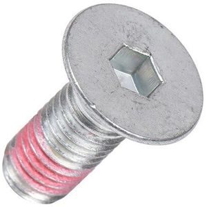 AEG Schroef riemschijf M10 x 25 wasmachine 5191350270