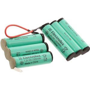 AEG batterij 4055499224