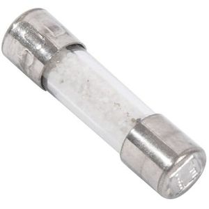 AEG Gevoelige ovenzekering - 10 A 1531234019