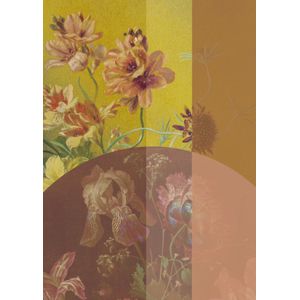 NIN-NIT | Verjaardagskaart | Geel | Giant Card