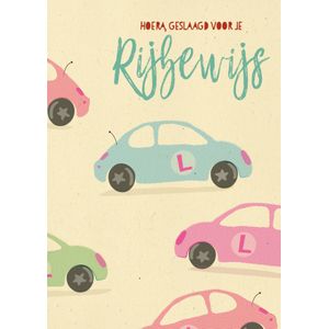 Paperclip | Geslaagd kaart | rijbewijs | Large Card