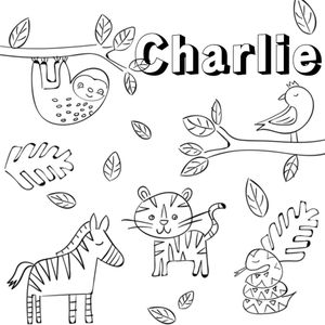 Greetz | Kleurplaatkaart | Jungle | Met naam | Square Card