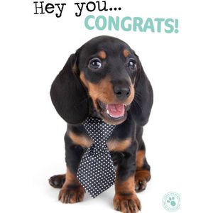 Studio Pets | Felicitatiekaarten | Puppy | Schattig | Wit | Giant Card