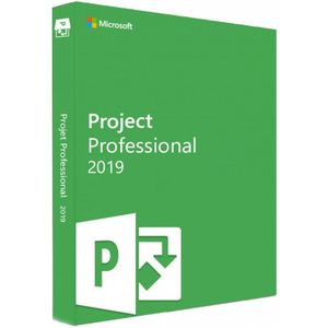 Microsoft Project 2019 Professional (PC)