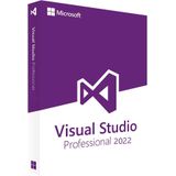 Microsoft Visual Studio Professional 2022 (PC)