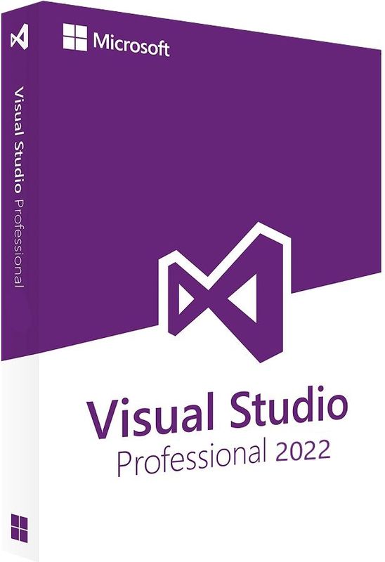 Microsoft Visual Studio Professional 2022 (PC)