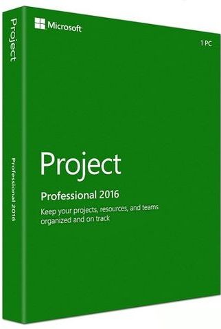 Microsoft Project 2016 Professional (PC)