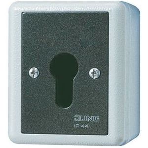 Jung 833.18 G SCHLUESSEL-TASTER 1