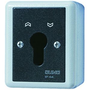 Jung 834.28 G SCHLUESSEL-TASTER 1