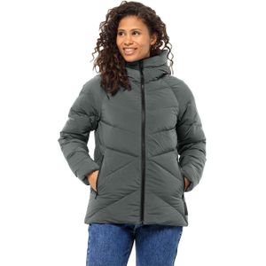 Jack Wolfskin Marienplatz Jacket Women RDS Donsjack Dames L slate green slate green
