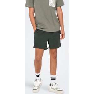 Onsted Swim Shorts