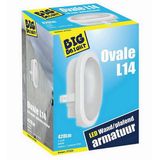 Big Bright Ovale L14 LED Plafond/Wandlamp 6W 4000K 420LM 17cm