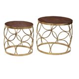 Mister Habitat | Set van 2 Salontafels The Gold diameter 50 cm x 50 cmdiameter 40 cm x 40 cm goud, bruin salontafels mango | NADUVI outlet