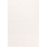 Forte Collection | Vloerkleed Groningen Light polypropyleen wit 170x120 cm rechthoekige vloerkleden | NADUVI