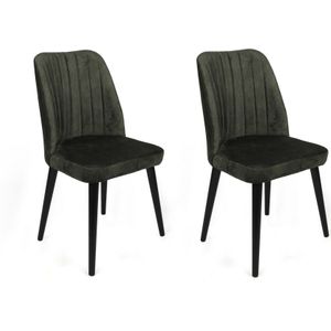 Set van 2 eetkamerstoelen Alfa velvet | Atelier Del Sofa