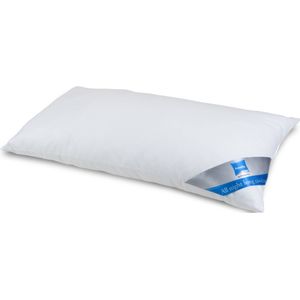 Cool Night Hoofdkussen