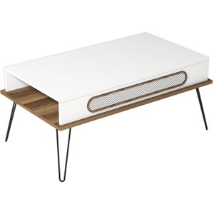 Salontafel Ekol | Hannah Home