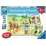 Ravensburger 3in1 Puzzel Paarden 3x49 Stukjes + Poster