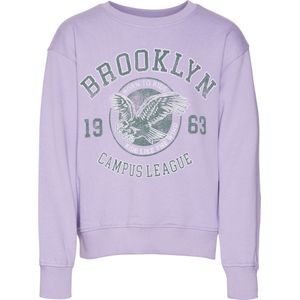 Vmanimalbrenda Sweatshirt