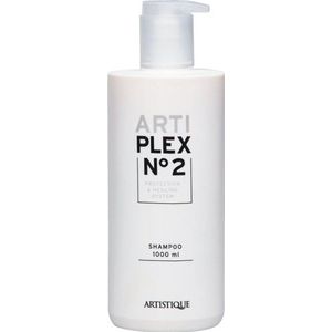 Artistique Arti Plex No2 Shampoo 1000 ml