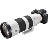 Sony A7R mark IV + 200-600mm FE F/5.6-6.3 G OSS