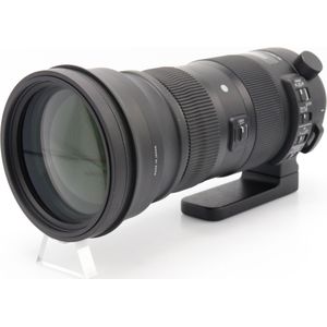 Sigma - 150-600mm F/5-6.3 DG OS HSM I - Telelens - Voor Nikon