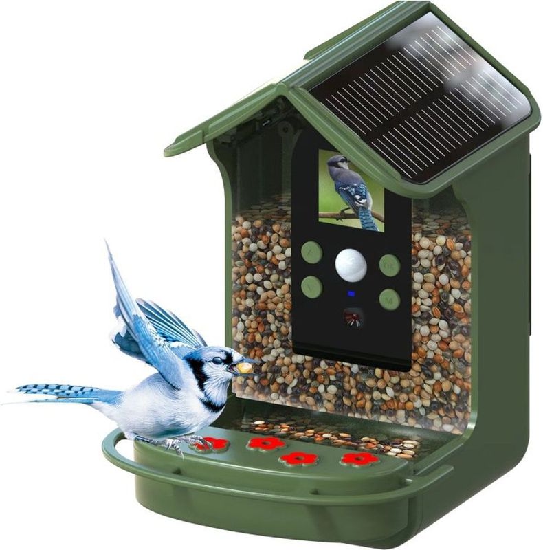 BRAUN - Bird Cam 130 Solar - Vogelcamera - Groen - Weersbestendige Behuizing