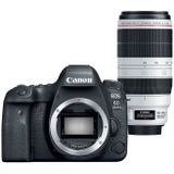Canon EOS 6D mark II + EF 100-400MM II F/4.5-5.6 L IS USM (DRAAIZOOM)