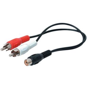 Cognisys RCA Y Cable - Female to 2 Male