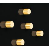Magneet voor glasbord rond rond 10mm Strong goud 5st