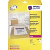 Etiket Avery 99,1x57mm 25 vel 10 etiketten per vel wit