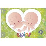 Vlag Twins
