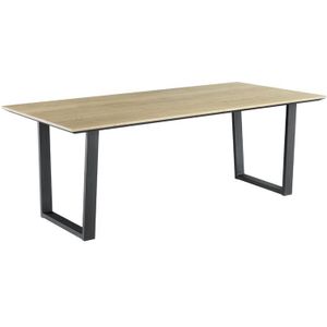 Profijt Meubel Eettafel 250x100 Holton