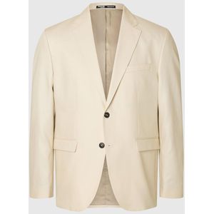 Regular Fit Single-breasted Blazer