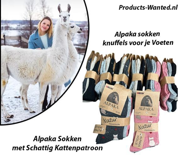 6 Paar Alpaka Sokken met Schattig Kattenpatroon 35-38