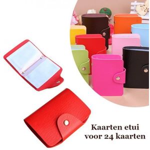 48 Kaarten of Pasjes Etui Kleuren Roze en Blauw (2x24 Pasjes)