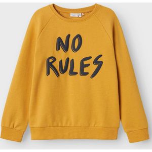 Regular Fit Sweatshirt