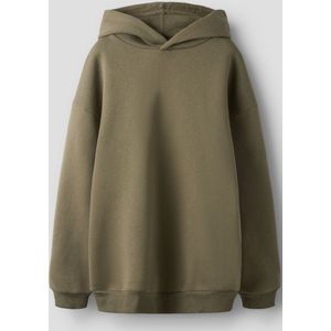 Regular Fit Hoodie