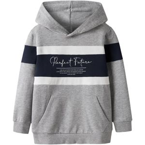 Regular Fit Hoodie