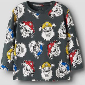 Paw Patrol Top