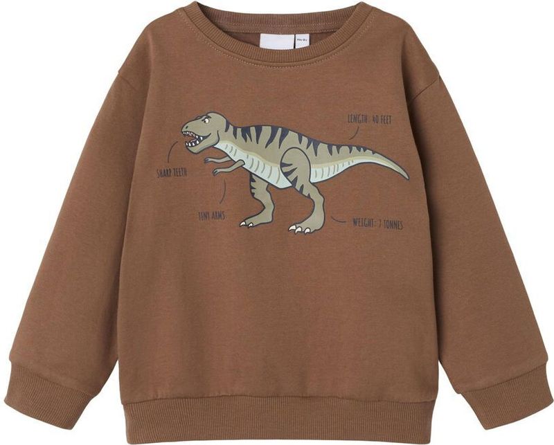 Regular Fit Sweatshirt