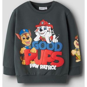 Paw Patrol Sweatshirt