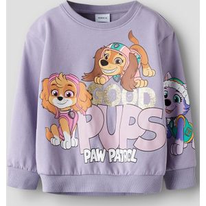 Paw Patrol Sweatshirt