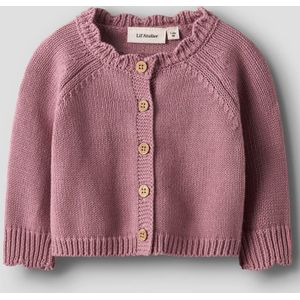 Biologisch Katoen Gebreid Vest