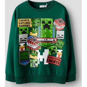 Minecraft Sweatshirt