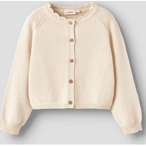 Biologisch Katoen Gebreid Vest